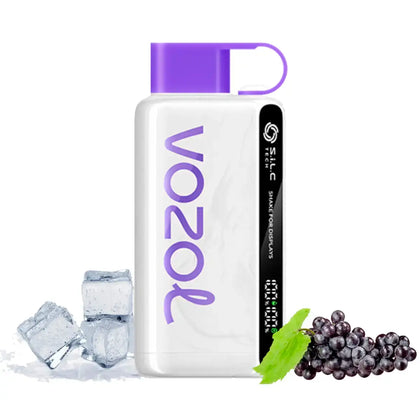 Vozol 12000 Puff Grape ice